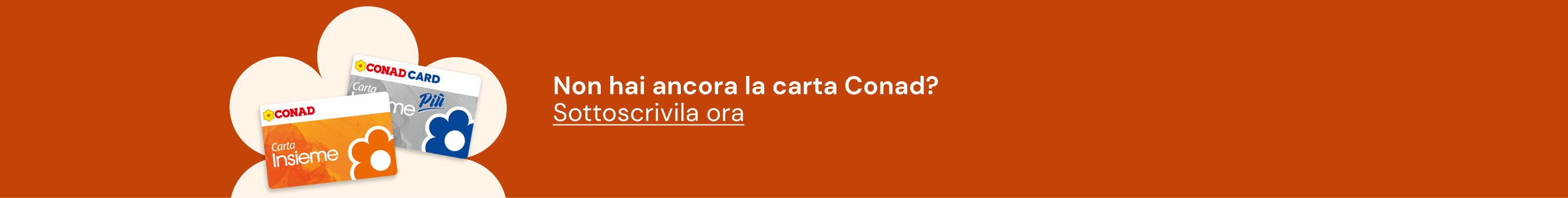 www.roqenavix.pro