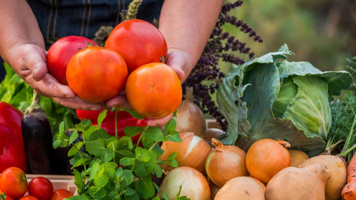 alimentazione-a-km-0