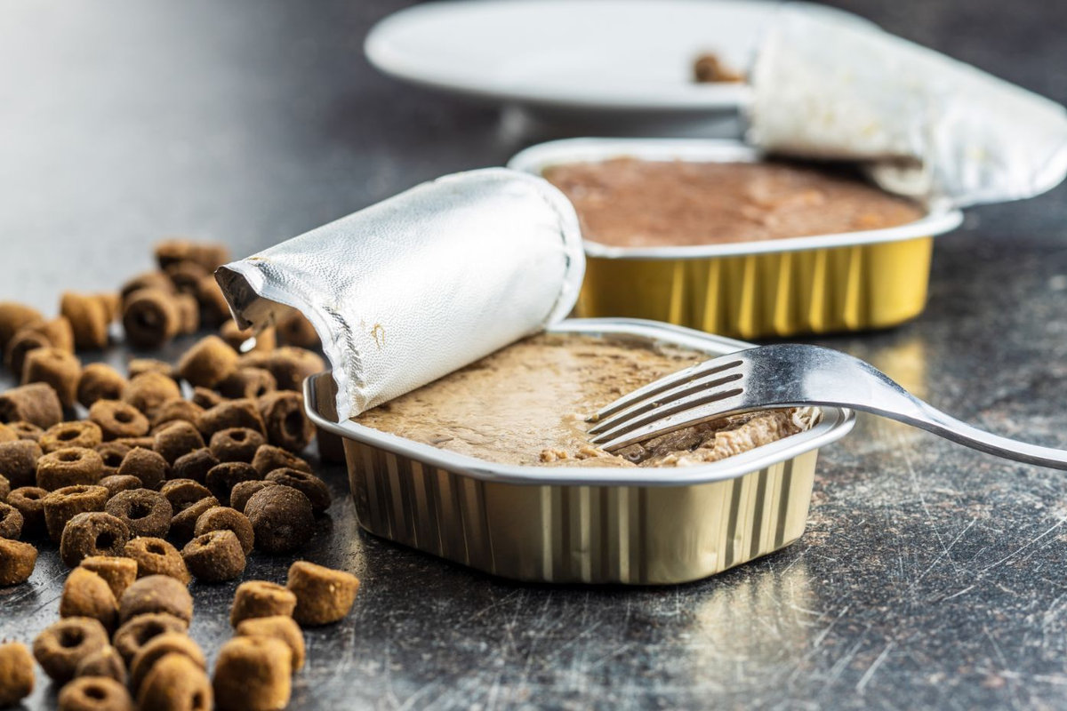 alimentazione complementare per cani e gatti
