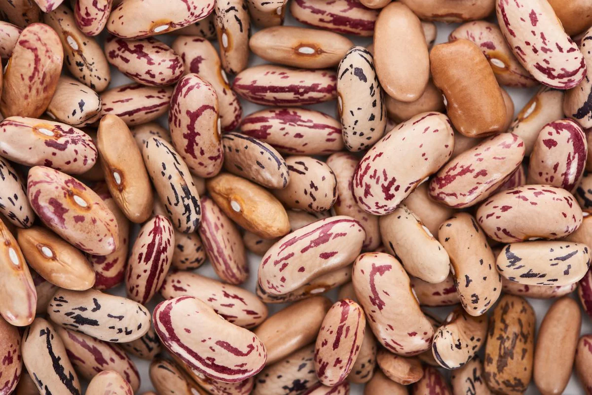 fagioli