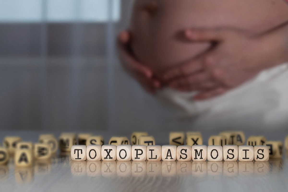 toxoplasmosi-in-gravidanza