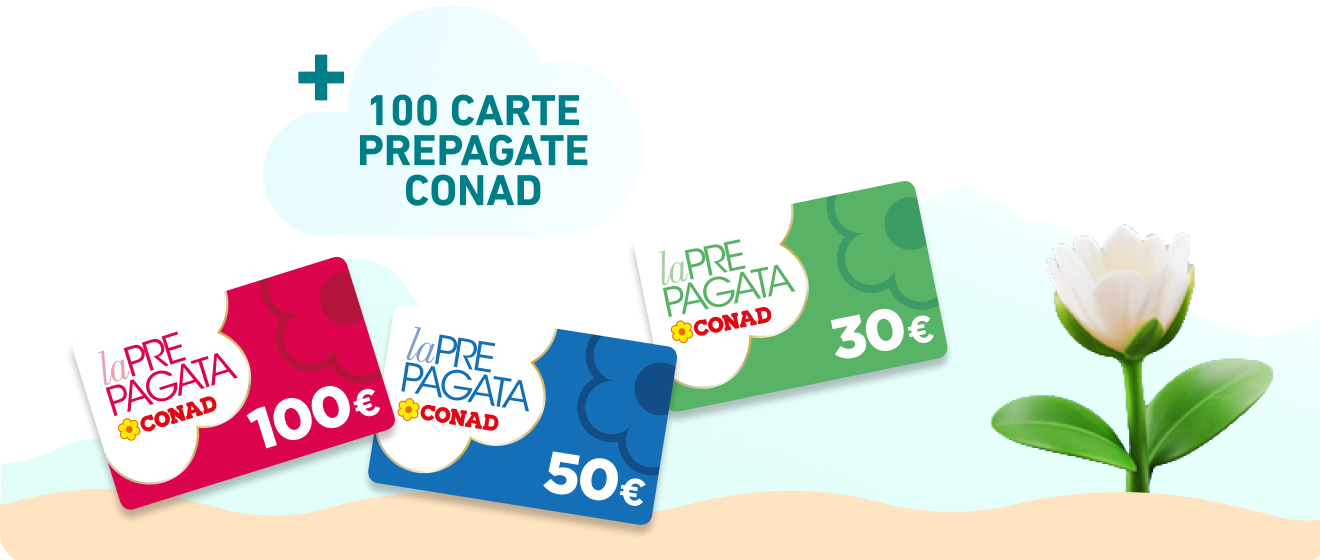 www.roqenavix.pro