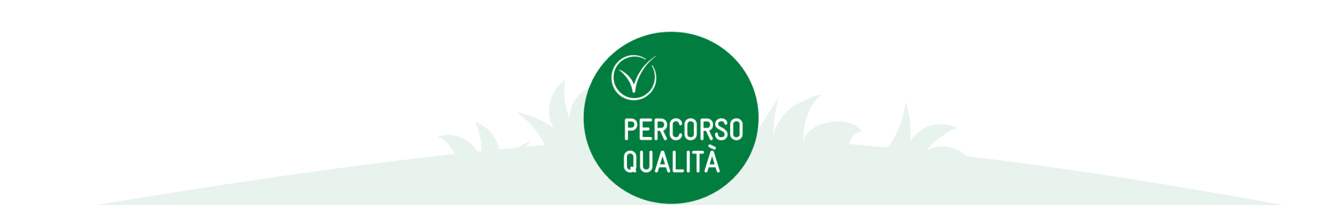 www.roqenavix.pro